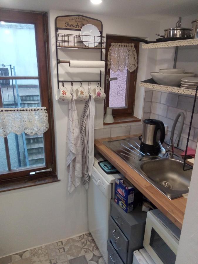 See- Und Altstadthaeusle - Alles Direkt Vor Der Haustuer - Bodenseeufer Natur Altstadt Bahnhof Bora-Sauna - Klein Und Super Zentral Zum See Oepnv Stadt Natur Etc - Appartement Historica ราดอล์ฟเซลล์ อัม โบเดนซี ภายนอก รูปภาพ